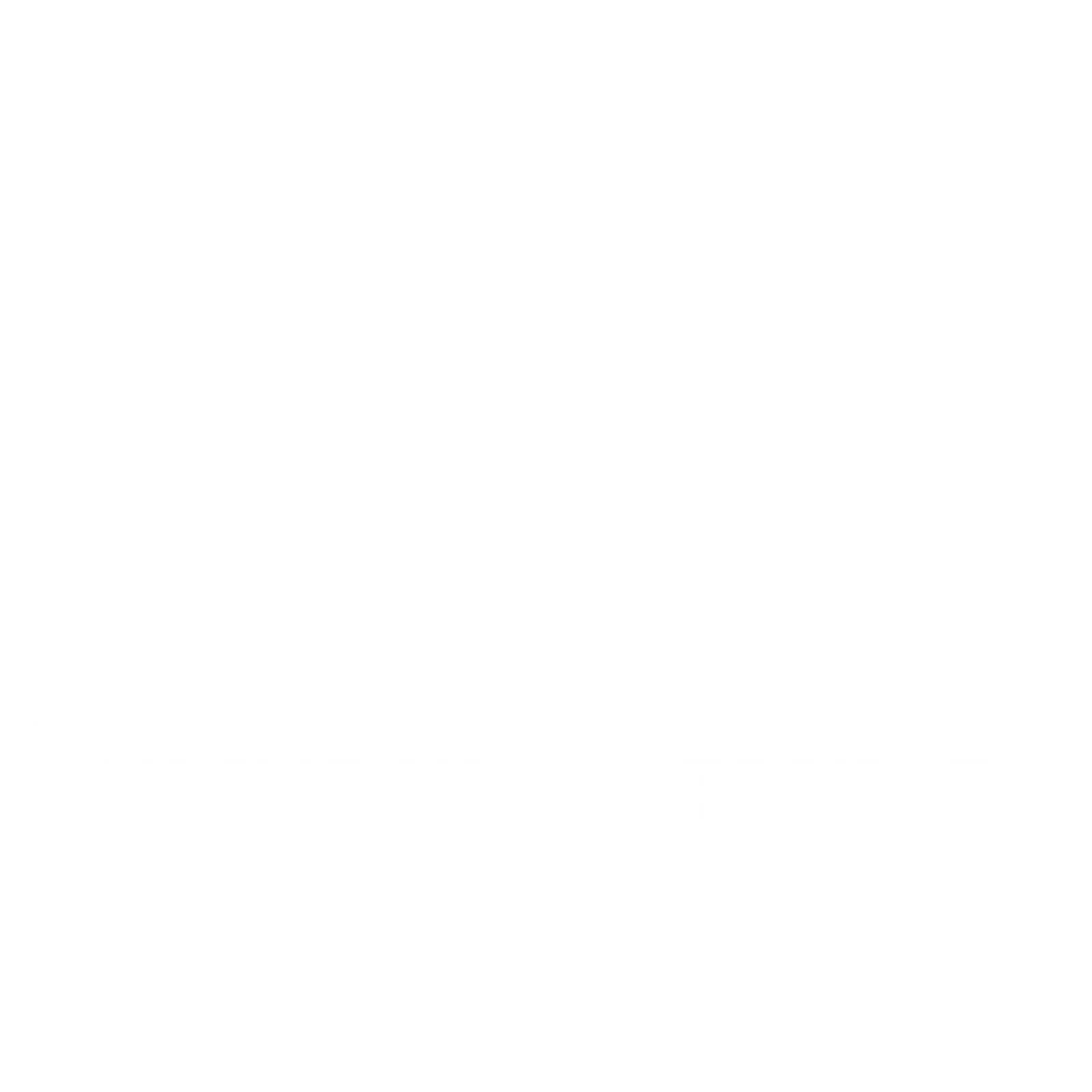OVS Logo